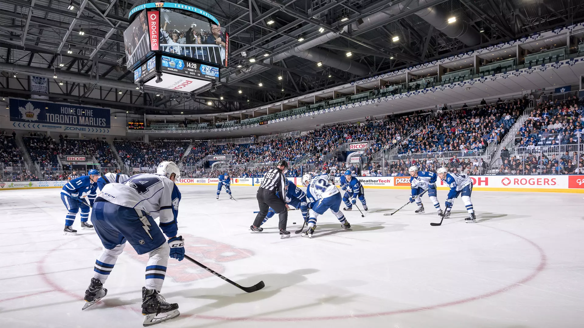 Toronto Marlies Hockey